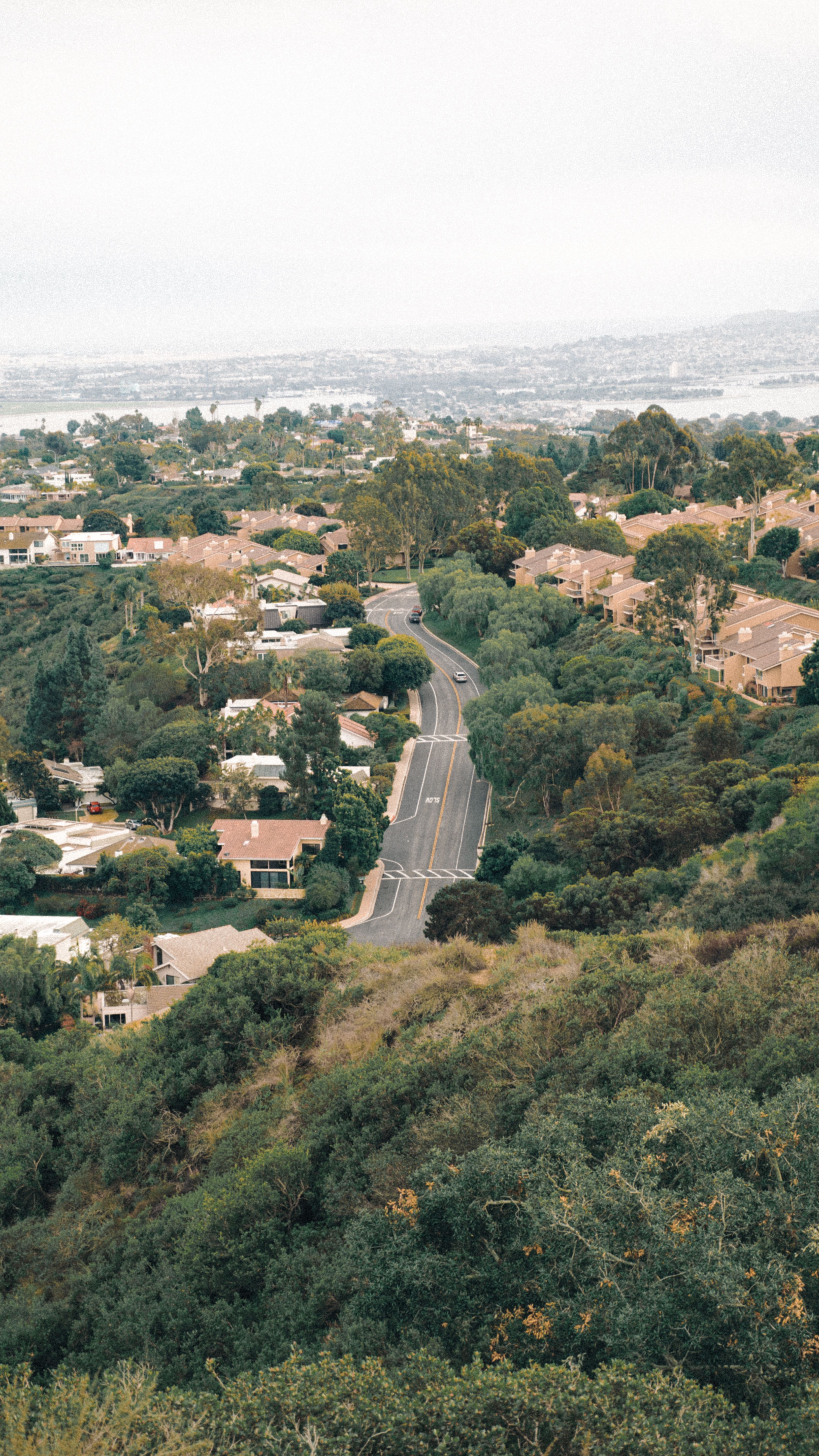 Aerial view of a hillside neighborhood